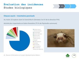 43
Évaluation des incidences
Études biologiques
Réunion d'information sur le projet «Wandpark Kanton Réiden»
2
Chauve-sour...
