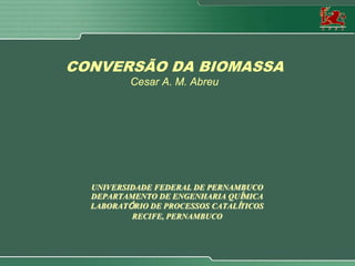 CONVERSÃO DA BIOMASSA
          Cesar A. M. Abreu




  UNIVERSIDADE FEDERAL DE PERNAMBUCO
  DEPARTAMENTO DE ENGENHARIA QUÍMICA
  LABORATÓRIO DE PROCESSOS CATALÍTICOS
          RECIFE, PERNAMBUCO
 