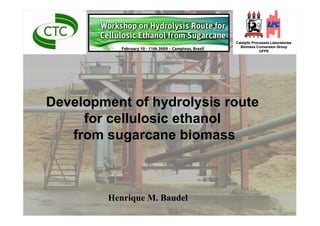 Catalytic Processes Laboratories
                                Biomass Conversion Group
                                            UFPE




Development of hydrolysis route
     for cellulosic ethanol
   from sugarcane biomass



         Henrique M. Baudel
 