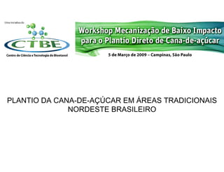 PLANTIO DA CANA-DE-AÇÚCAR EM ÁREAS TRADICIONAIS
              NORDESTE BRASILEIRO
 
