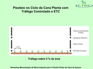 Pisoteio no Ciclo da Cana Planta com
        Tráfego Controlado e ETC




                   Tráfego sobre 5 % da área


Workshop Mecanização de Baixo Impacto para o Plantio Direto da Cana de Açúcar
 