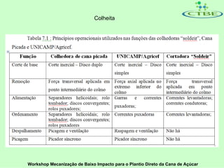 Colheita




Workshop Mecanização de Baixo Impacto para o Plantio Direto da Cana de Açúcar
 