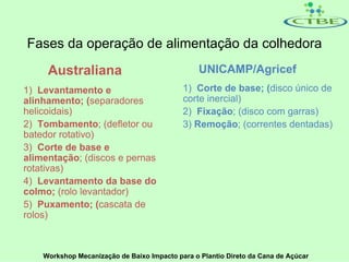 Fases da operação de alimentação da colhedora
     Australiana                                 UNICAMP/Agricef
1) Levantamento e                           1) Corte de base; (disco único de
alinhamento; (separadores                   corte inercial)
helicoidais)                                2) Fixação; (disco com garras)
2) Tombamento; (defletor ou                 3) Remoção; (correntes dentadas)
batedor rotativo)
3) Corte de base e
alimentação; (discos e pernas
rotativas)
4) Levantamento da base do
colmo; (rolo levantador)
5) Puxamento; (cascata de
rolos)



    Workshop Mecanização de Baixo Impacto para o Plantio Direto da Cana de Açúcar
 