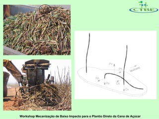 Workshop Mecanização de Baixo Impacto para o Plantio Direto da Cana de Açúcar
 