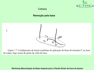 Colheita

                       Remoção pela base




Workshop Mecanização de Baixo Impacto para o Plantio Direto da Cana de Açúcar
 