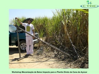 Workshop Mecanização de Baixo Impacto para o Plantio Direto da Cana de Açúcar
 