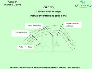 Anexo IX
Plantio e Cultivo
                                              CULTIVO
                                     Convencional no limpo
                               Palha concentrada na entre-linha


                                                                  Pulverizador de
                            Haste adubadora                       herbicida


          Dedos elásticos




               Palha        Rotor




      Workshop Mecanização de Baixo Impacto para o Plantio Direto da Cana de Açúcar
 