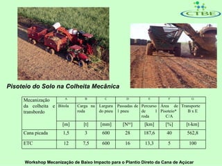 Pisoteio do Solo na Colheita Mecânica
                       A        B        C         D         E        F          G
     Mecanização
     da colheita e Bitola   Carga na Largura Passadas de Percurso Área de Transporte
     transbordo             roda     do pneu 1 pneu      de     1 Pisoteio*  BxE
                                                         roda        C/A
                      [m]      [t]     [mm]      [Nro]     [km]      [%]      [t-km]
     Cana picada      1,5       3       600       28       187,6     40        562,8

     ETC              12       7,5      600       16       13,3       5        100


     Workshop Mecanização de Baixo Impacto para o Plantio Direto da Cana de Açúcar
 