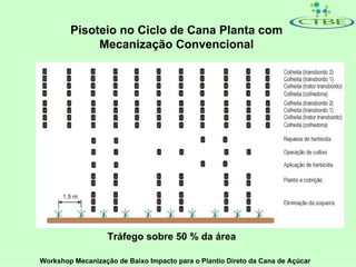 Pisoteio no Ciclo de Cana Planta com
             Mecanização Convencional




                   Tráfego sobre 50 % da área

Workshop Mecanização de Baixo Impacto para o Plantio Direto da Cana de Açúcar
 