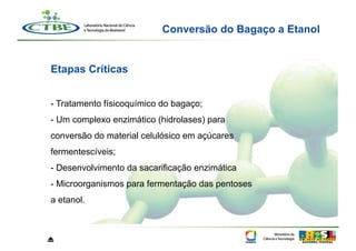 Conversão do Bagaço a Etanol


Etapas Críticas


- Tratamento físicoquímico do bagaço;
- Um complexo enzimático (hidrolases) para
conversão do material celulósico em açúcares
fermentescíveis;
- Desenvolvimento da sacarificação enzimática
- Microorganismos para fermentação das pentoses
a etanol.



⏏
 