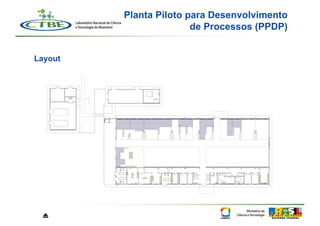 Planta Piloto para Desenvolvimento
                        de Processos (PPDP)


Layout




 ⏏
 