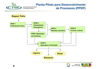 Planta Piloto para Desenvolvimento
                                            de Processos (PPDP)

 Bagaço/ Palha


                          PPDP 2
PPDP 1
                          Prétratamento
Prétratamento físico
                          físicoquímico
                                                 PPDP 4                 PPDP 6
                                                 Hidrólise enzimática   Ferment. a etanol

                       PPDP 3-Biosíntese
                       de hidrolases



                                   PPDP 5
                                   Separação e Purificação




                         Lignina                         Xilose

                                          Bioetanol



   ⏏
 