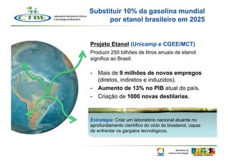 Substituir 10% da gasolina mundial
      por etanol brasileiro em 2025


Projeto Etanol (Unicamp e CGEE/MCT)
Produzir 250 bilhões de litros anuais de etanol
significa ao Brasil:

-  Mais de 9 milhões de novos empregos
   (diretos, indiretos e induzidos).
-  Aumento de 13% no PIB atual do país.
-  Criação de 1000 novas destilarias.



Estratégia: Criar um laboratório nacional atuante no
aprofundamento científico do ciclo do bioetanol, capaz
de enfrentar os gargalos tecnológicos.
 