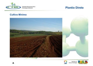 Plantio Direto

Cultivo Mínimo




  ⏏
 