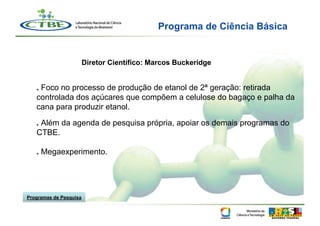 Programa de Ciência Básica


                        Diretor Científico: Marcos Buckeridge


   . Foco no processo de produção de etanol de 2ª geração: retirada
   controlada dos açúcares que compõem a celulose do bagaço e palha da
   cana para produzir etanol.

   . Além da agenda de pesquisa própria, apoiar os demais programas do
   CTBE.

   . Megaexperimento.




Programas de Pesquisa
 