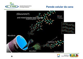 Parede celular da cana

    (Glucurono?)
    and mixed linkabe beta-glucan




⏏
 