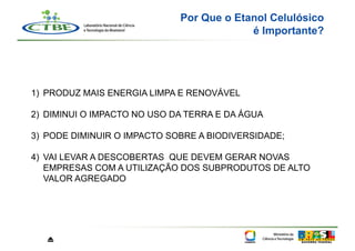 Por Que o Etanol Celulósico
                                           é Importante?




1)  PRODUZ MAIS ENERGIA LIMPA E RENOVÁVEL

2)  DIMINUI O IMPACTO NO USO DA TERRA E DA ÁGUA

3)  PODE DIMINUIR O IMPACTO SOBRE A BIODIVERSIDADE;

4)  VAI LEVAR A DESCOBERTAS QUE DEVEM GERAR NOVAS
    EMPRESAS COM A UTILIZAÇÃO DOS SUBPRODUTOS DE ALTO
    VALOR AGREGADO




   ⏏
 