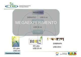 INDUSTRIA

                        SIBRATEC    US$ 5 mi
                              PLANTA
              MEGAEXPERIMENTO PILOTO

                             US$ 30 mi

                               CTBE




                                               EMBRAPA
                             49 Labs
                                               US$ 20mi
           29 Labs           US$ 20 mi
           US$ 3mi
Programas de Pesquisa
 