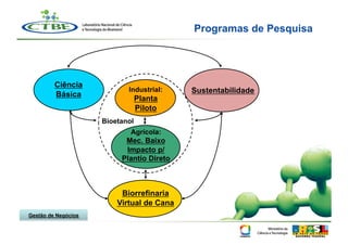Programas de Pesquisa




         Ciência
                            Industrial:    Sustentabilidade
         Básica
                                 Planta
                                 Piloto
                     Bioetanol
                             Agrícola:
                           Mec. Baixo
                           Impacto p/
                          Plantio Direto



                          Biorrefinaria
                         Virtual de Cana
Gestão de Negócios
 