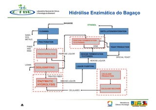 Hidrólise Enzimática do Bagaço




⏏
 