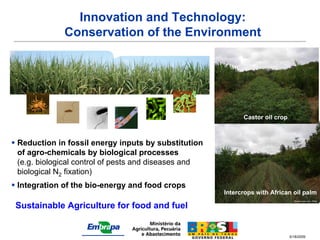 Innovation and Technology:
              Conservation of the Environment




                                                             Castor oil crop



 Reduction in fossil energy inputs by substitution
  of agro-chemicals by biological processes
  (e.g. biological control of pests and diseases and
  biological N2 fixation)
 Integration of the bio-energy and food crops
                                                       Dendê c/culturas intercalares’
                                                       Intercrops with African oil palm
                                                                                 Ricardo lopes et al., CPAA



 Sustainable Agriculture for food and fuel
                                                                                 Ricardo lopes et al., CPAA




                                                                               5/18/2009
 