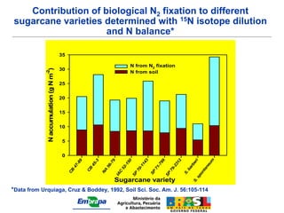 Contribution of biological N2 fixation to different
sugarcane varieties determined with 15N isotope dilution
                    and N balance*

                                       35

                                                                           N from N2 fixation
                                       30
             N accumulation (g N m )


                                                                           N from soil
            -2




                                       25


                                       20


                                       15


                                       10


                                        5


                                        0




                                                                                                                           um
                                                                                     3




                                                                                                         2
                                                                          50




                                                                                              99
                                                 9




                                                                  9




                                                                                                                             i
                                                        -3




                                                                                                                           er
                                                                                   14




                                                                                                       31
                                               -8




                                                                -7
                                                      45




                                                                        -1




                                                                                            -7




                                                                                                                         rb


                                                                                                                        ne
                                             47




                                                              56




                                                                                 -1




                                                                                                     -2
                                                                      52




                                                                                          71




                                                                                                                      ba
                                                     CB




                                                                               70




                                                                                                   79




                                                                                                                      ta
                                            CB




                                                             NA



                                                                    C




                                                                                         SP




                                                                                                                  on
                                                                                                                   S.
                                                                                               SP
                                                                           SP
                                                                  IA




                                                                                                                sp
                                                                  Sugarcane variety

                                                                                                             S.
*Data from Urquiaga, Cruz & Boddey, 1992, Soil Sci. Soc. Am. J. 56:105-114
 
