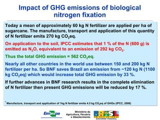 Impact of GHG emissions of biological
                     nitrogen fixation
Today a mean of approximately 60 kg N fertilizer are applied per ha of
sugarcane. The manufacture, transport and application of this quantity
of N fertilizer emits 270 kg CO2eq.
On application to the soil, IPCC estimates that 1 % of the N (600 g) is
emitted as N2O, equivalent to an emission of 292 kg CO2.
Thus the total GHG emission = 562 CO2eq.
Nearly all other countries in the world use between 150 and 200 kg N
fertilizer per ha. So BNF saves Brazil an emission from ~120 kg N (1100
kg CO2eq) which would increase total GHG emission by 33 %.
If further advances in BNF research results in the complete elimination
of N fertilizer then present GHG emissions will be reduced by 17 %.


* Manufacture, transport and application of 1kg N fertilizer emits 4.5 kg CO eq of GHGs (IPCC, 2006)
                                                                            2
 