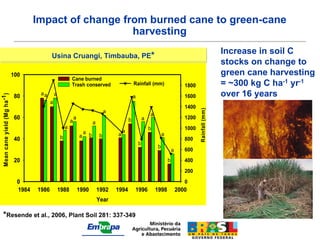 Impact of change from burned cane to green-cane
                                                         harvesting

                                             Usina Cruangi, Timbauba, PE*
                                                                                                                                                              Increase in soil C
                                                                                                                                                              stocks on change to
                              100                                                                                                                             green cane harvesting
                                                             Cane burned
                                                             Trash conserved                        Rainfall (mm)                      1800                   = ~300 kg C ha-1 yr-1
                              80       aa        a                                                                                                            over 16 years
Mean cane yield (Mg ha -1 )




                                                                                                    a                                  1600
                                             a
                                                                                                                                       1400




                                                                                                                                              Rainfall (mm)
                                                                                    a
                                                                                                                a
                              60                                 a                              b           a                          1200
                                                             a              a
                                                         a                                                      b                      1000
                                                                      a                     a
                                                                     a b        b       a                               a
                              40                     b                                                                                 800
                                                                                                        b
                                                                                                                    b
                                                                                                                                a      600
                              20                                                                                            b          400
                                                                                                                                       200
                               0                                                                                                       0
                               1984   1986           1988            1990       1992    1994        1996            1998            2000
                                                                                Year

        *Resende et al., 2006, Plant Soil 281: 337-349
 