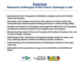 Sugarcane
  Research challenges of the Future: Embrapa´s role


- Improvement of soil management, fertilization, irrigation and control of plant
   insect and diseases.
- New sugar cane varieties produced for their tolerance to hydric deficit and
  salinity through traditional plant breeding techniques or biotechnology (GMs).
- Isolation and selection of cellulolytic microorganisms efficient for the hydrolysis
  of cellulose for ethanol production from bagasse and crop residues.
- Monitoring of the impact of the use of residues of the ethanol industry in the soil
  C stock and GHG emission.
- Optimization of the contribution of biological nitrogen fixation to sugar cane
  crop, selecting efficient varieties for different climatic conditions.
- Understanding of the functional genome of diazotrophic bacteria in the sugar
  cane crop.
- Optimization of the production of sugar cane in the North and North-East of
  Brazil.
 