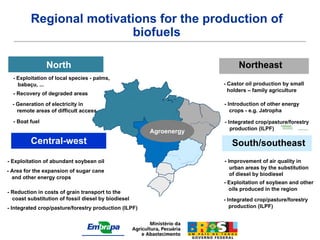 Regional motivations for the production of
                         biofuels

                North                                                     Northeast
  - Exploitation of local species - palms,
    babaçu, ...                                                     - Castor oil production by small
                                                                      holders – family agriculture
  - Recovery of degraded areas
  - Generation of electricity in                                    - Introduction of other energy
    remote areas of difficult access                                   crops - e.g. Jatropha

  - Boat fuel                                                       - Integrated crop/pasture/forestry
                                                                       production (ILPF)
                                                       Agroenergy
         Central-west                                                  South/southeast
                -
- Exploitation of abundant soybean oil                              - Improvement of air quality in
                                                                      urban areas by the substitution
- Area for the expansion of sugar cane
                                                                      of diesel by biodiesel
  and other energy crops
                                                                    - Exploitation of soybean and other
                                                                      oils produced in the region
- Reduction in costs of grain transport to the
  coast substitution of fossil diesel by biodiesel                  - Integrated crop/pasture/forestry
- Integrated crop/pasture/forestry production (ILPF)                   production (ILPF)
 