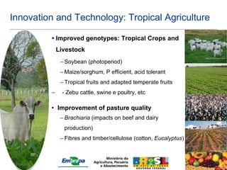 Innovation and Technology: Tropical Agriculture

          Improved genotypes: Tropical Crops and
             Livestock
                                                                   Sandra Santos, Embrapa Pantanal


              – Soybean (photoperiod)
              – Maize/sorghum, P efficient, acid tolerant
              – Tropical fruits and adapted temperate fruits
         –    - Zebu cattle, swine e poultry, etc

         • Improvement of pasture quality
              – Brachiaria (impacts on beef and dairy
               production)
              – Fibres and timber/cellulose (cotton, Eucalyptus)
                                                                         Paulo Kurtz, Embrapa Trigo




                                                                   5/18/2009
 