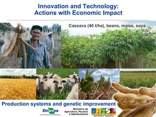 Innovation and Technology:
                        Actions with Economic Impact

                                  Cassava (40 t/ha), beans, maize, soya ...




          Paulo Kurtz                                  Paulo Kurtz
                                   Fernando 2006




Production systems and genetic improvement
                                                                      5/18/2009
 