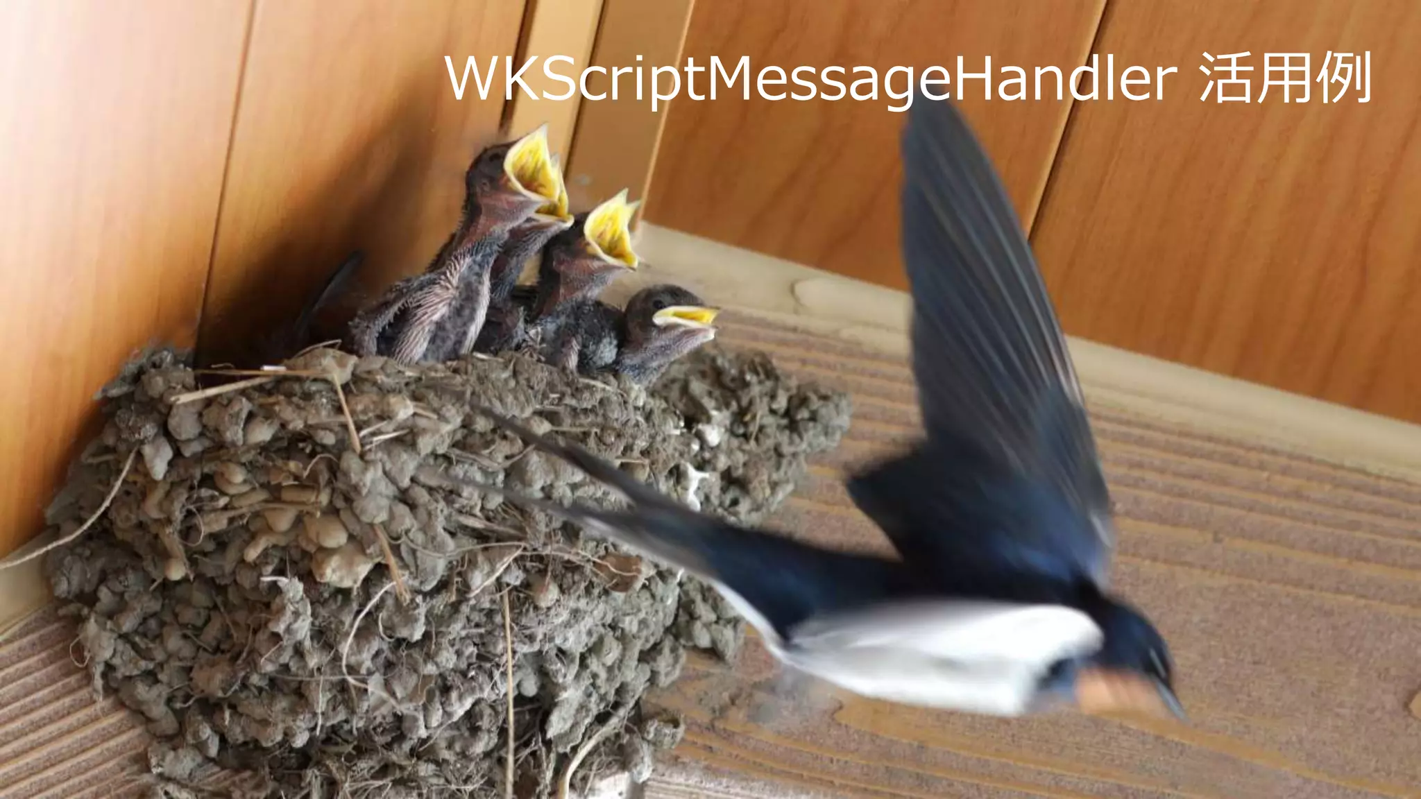 WKScriptMessageHandler 活用例
 