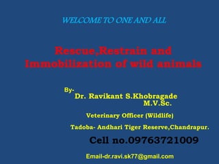WELCOME TO ONE AND ALL
Rescue,Restrain and
Immobilization of wild animals
By-
Dr. Ravikant S.Khobragade
M.V.Sc.
Veterinary Officer (Wildlife)
Tadoba- Andhari Tiger Reserve,Chandrapur.
Cell no.09763721009
Email-dr.ravi.sk77@gmail.com
 