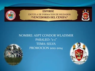 NOMBRE: ASPT CONDOR WLADIMIR
PARALEO: “c-1”
TEMA: SELVA
PROMOCION 2012-2014
 