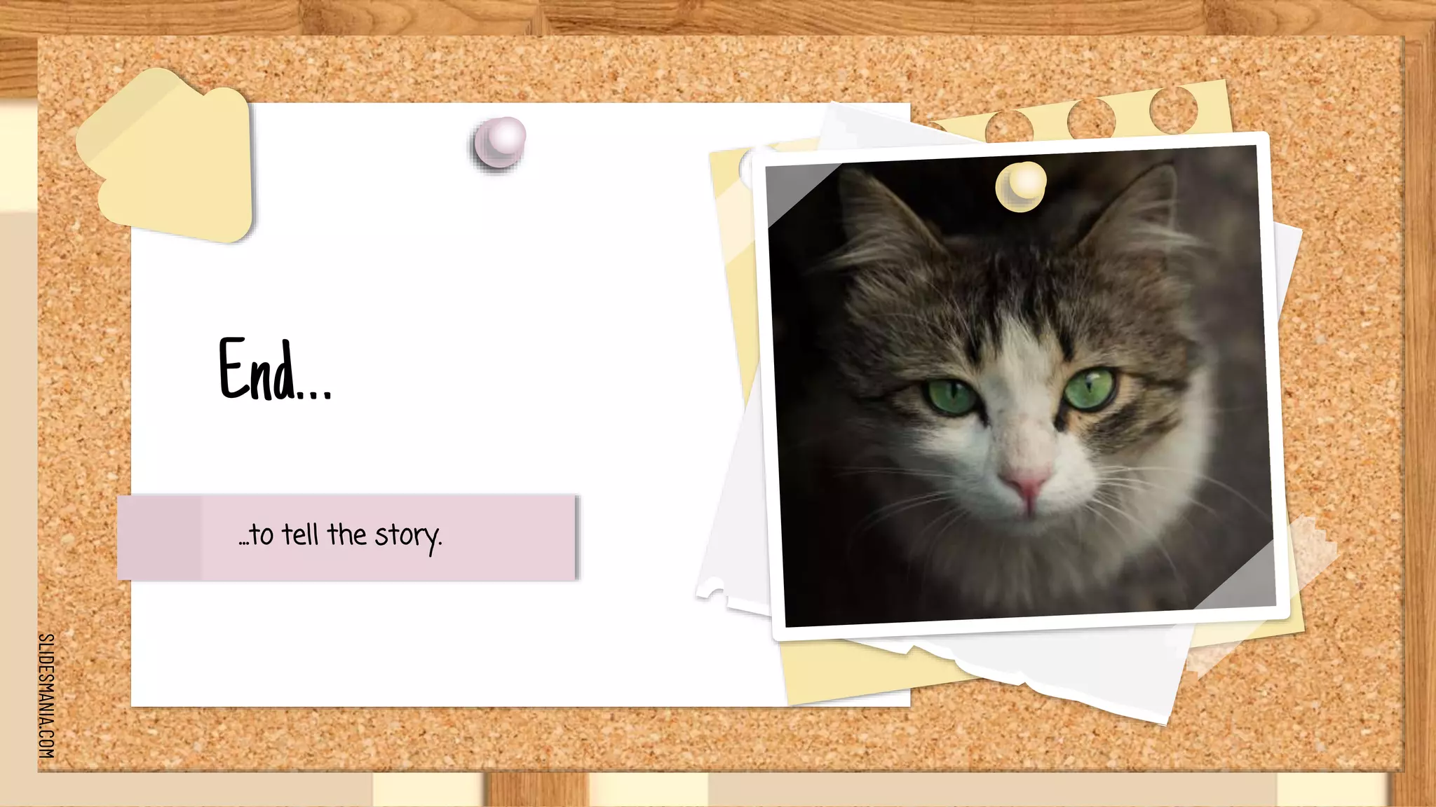 SLIDESMANIA.COM
End…
...to tell the story.
 