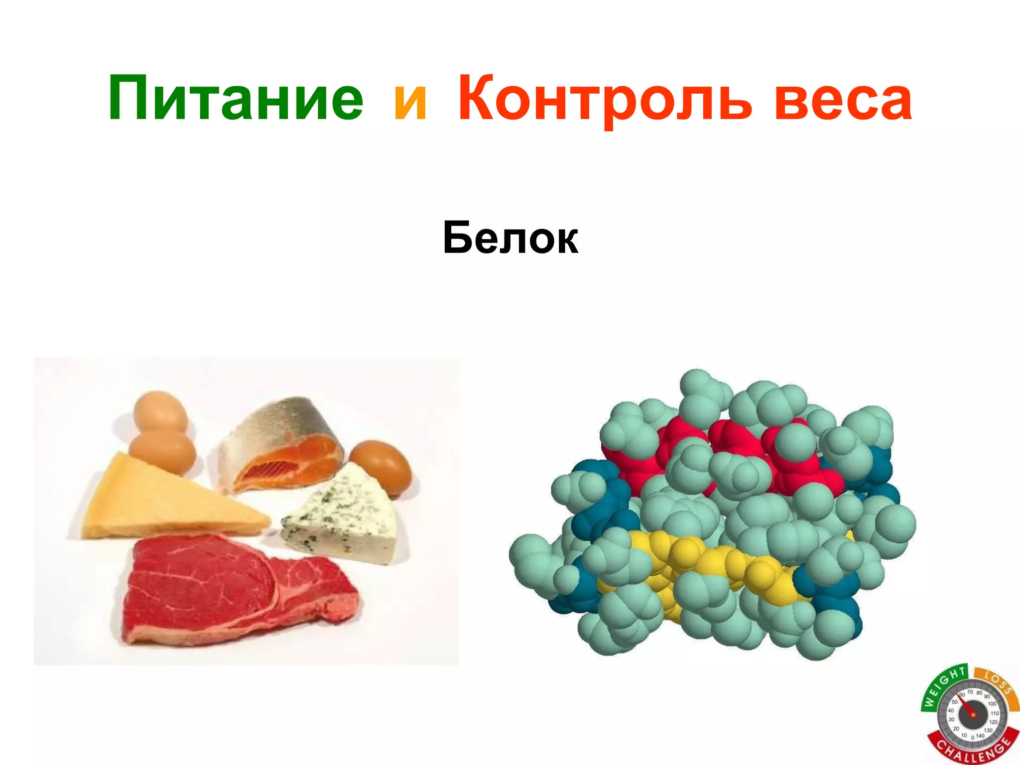 Белок Питание   и   Контроль веса 