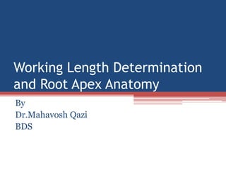 Working Length Determination
and Root Apex Anatomy
By
Dr.Mahavosh Qazi
BDS
 