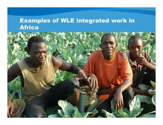Examples of WLE integrated work in
Africa
 
