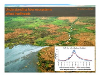 0
20
40
60
80
100
1-Oct-80
1-Nov-80
1-Dec-80
1-Jan-81
1-Feb-81
1-Mar-81
1-Apr-81
1-May-81
1-Jun-81
1-Jul-81
1-Aug-81
1-Sep-81
Flow(m3s-1)
Daily flow with and without floodplain
Without floodplain (simulated) With floodplain (observed)
Flow Regulation in the Luswishi Floodplain
Understanding how ecosystems
affect livelihoods
M. McCartney (IWMI)
 