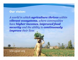 Our vision:
A world in which agriculture thrives within
vibrant ecosystems, where communities
have higher incomes, improved food
security and the ability to continuously
improve their lives
wle.cgiar.org
 