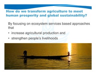 How do we transform agriculture to meet
human prosperity and global sustainability?
By focusing on ecosystem services based approaches
that
• increase agricultural production and
• strengthen people’s livelihoods
 