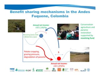 Benefit sharing mechanisms in the Andes
Fuquene, Colombia
S
Annual net income:
US$ 2,183/ha
Annual net income:
US$ 1,870/ha
Conservation
agriculture and
paramo
restoration
supported by
revolving fund
Revolving fund credit:
+180 farmers /year
Potato cropping,
grazing pressure,
degradation of paramo
 