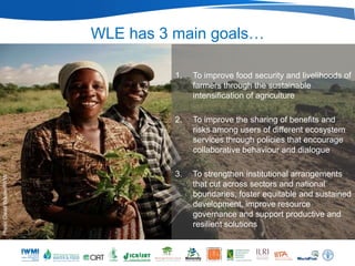WLE has 3 main goals…

                                      1.   To improve food security and livelihoods of
                                           farmers through the sustainable
                                           intensification of agriculture

                                      2.   To improve the sharing of benefits and
                                           risks among users of different ecosystem
                                           services through policies that encourage
                                           collaborative behaviour and dialogue

                                      3.   To strengthen institutional arrangements
Photo: David Brazier/IWMI




                                           that cut across sectors and national
                                           boundaries, foster equitable and sustained
                                           development, improve resource
                                           governance and support productive and
                                           resilient solutions
 