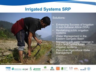 Irrigated Systems SRP
                                              Solutions:

                                              • Enhancing Success of Irrigation
                                                in sub-Saharan Africa (SSA)
                                              • Revitalizing public irrigation
                                                systems
                                              • Water Management in the
                                                Eastern Gangetic Basin
                                              • Managing salt–water balance in
                                                Indus and Central Asian
                                                irrigation systems
                                              • Peri-urban Agricultural Water
                                                Management


Photo: Tom Van Cakenberghe/IWMI
 