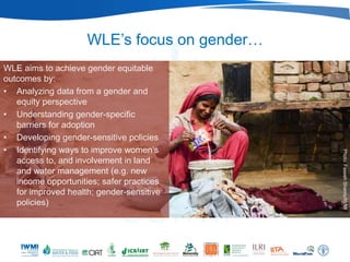WLE’s focus on gender…
WLE aims to achieve gender equitable
outcomes by:
• Analyzing data from a gender and
   equity perspective
• Understanding gender-specific
   barriers for adoption
• Developing gender-sensitive policies
• Identifying ways to improve women’s




                                              Photo: Faseeh Shams/IWMI
   access to, and involvement in land
   and water management (e.g. new
   income opportunities; safer practices
   for improved health; gender-sensitive
   policies)
 