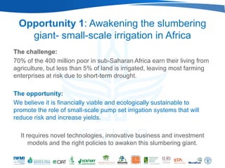 Opportunity 1: Awakening the slumbering
   giant- small-scale irrigation in Africa
The challenge:
70% of the 400 million poor in sub-Saharan Africa earn their living from
agriculture, but less than 5% of land is irrigated, leaving most farming
enterprises at risk due to short-term drought.

The opportunity:
We believe it is financially viable and ecologically sustainable to
promote the role of small-scale pump set irrigation systems that will
reduce risk and increase yields.

  It requires novel technologies, innovative business and investment
      models and the right policies to awaken this slumbering giant.
 
