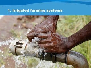 WLE – Presentation for Discussion with Donors and Partners – June 2013