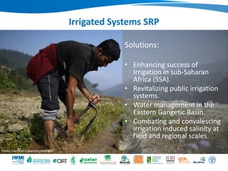 WLE – Presentation for Discussion with Donors and Partners – June 2013