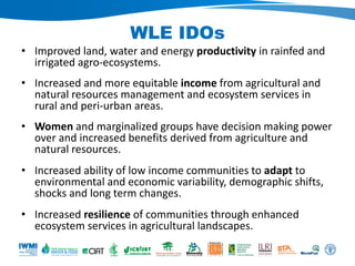 WLE – Presentation for Discussion with Donors and Partners – June 2013